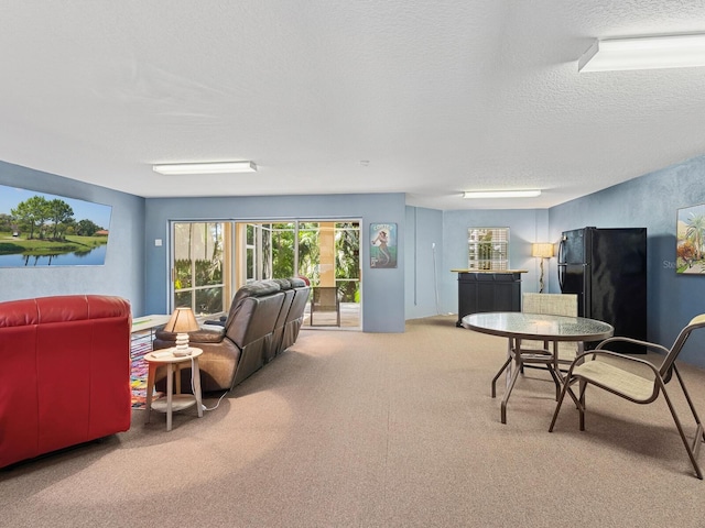 carpeted living area featuring a textured ceiling