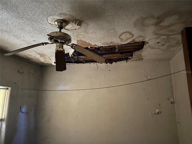 1075 Merritt St, Altamonte Springs, FL 32701 - room details with a textured ceiling