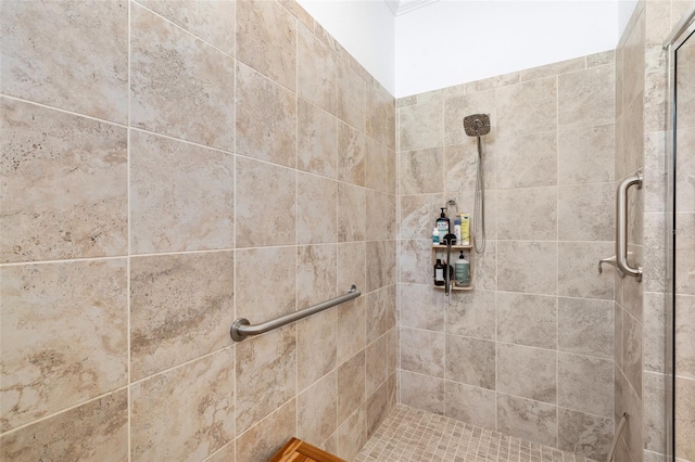 25325 Longmeadow Dr, Punta Gorda, FL 33955 - full bathroom featuring a stall shower