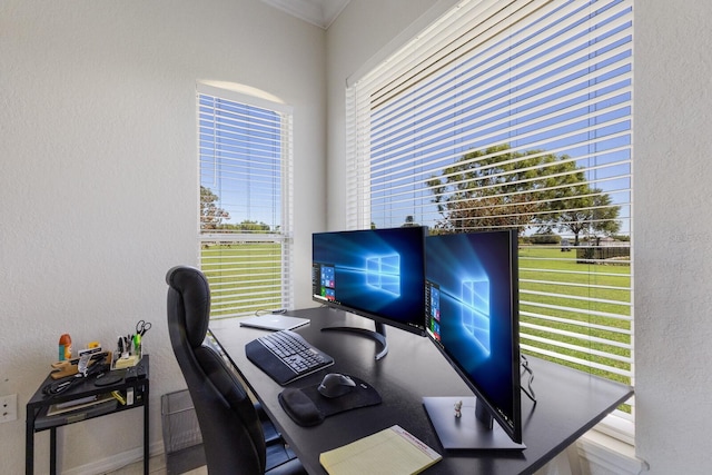 4606 Lake Fox Pl, Parrish, FL 34219 - home office with a textured wall and ornamental molding