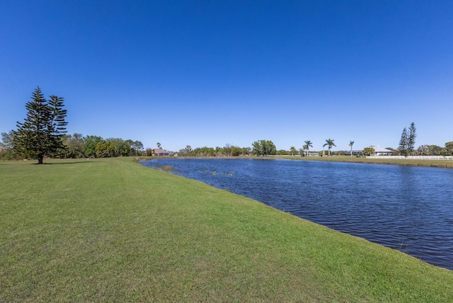 4606 Lake Fox Pl, Parrish, FL 34219 - water view