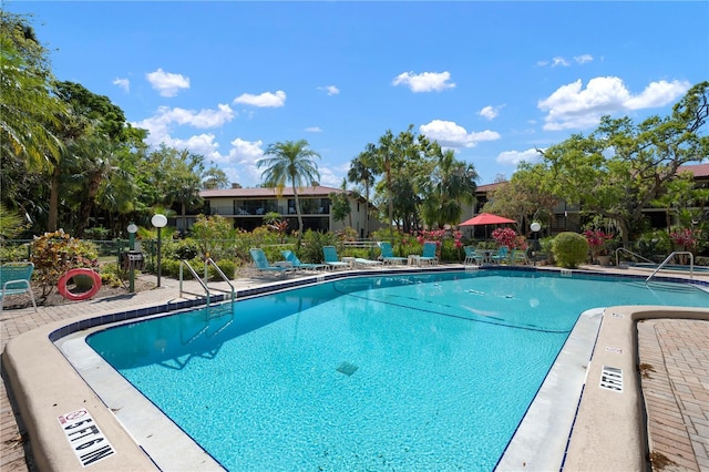3804 Sun Eagle Ln, Bradenton, FL 34210 - pool with a patio and fence