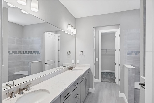11717 Blue Hill Trl, Lakewood Ranch, FL 34211 - bathroom with double vanity, a spacious closet, walk in shower, and a sink