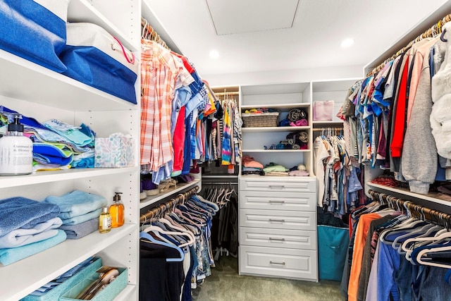 1928 Harbourside Dr Unit 1403, Longboat Key, FL 34228 - spacious closet featuring attic access and carpet