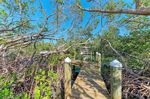 view of dock