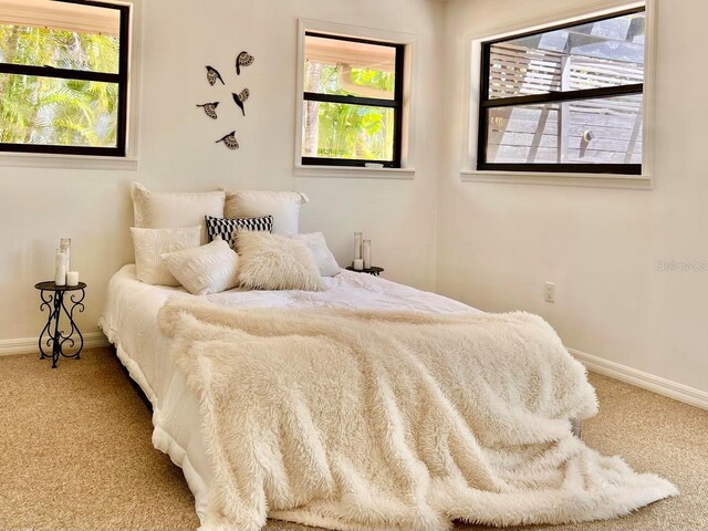 bedroom with carpet floors, baseboards, and multiple windows