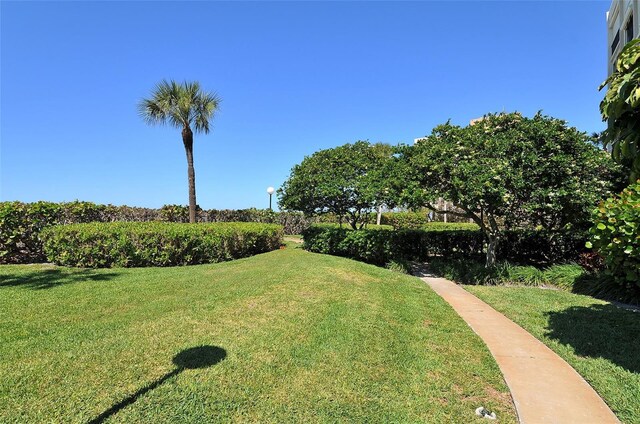2675 Gulf Of Mexico Dr Unit 403, Longboat Key, FL 34228 - view of yard