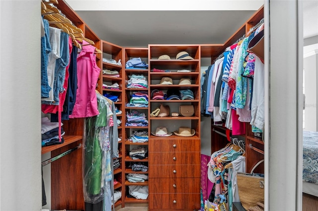 11716 Strandhill Ct, Lakewood Ranch, FL 34202 - view of spacious closet