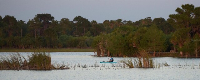 11716 Strandhill Ct, Lakewood Ranch, FL 34202 - water view featuring a forest view