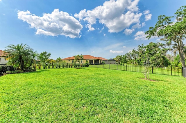 10015 Marbella Dr, Bradenton, FL 34211 - view of yard