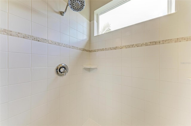 7278 Lismore Ct, Lakewood Ranch, FL 34202 - bathroom view of a tile shower