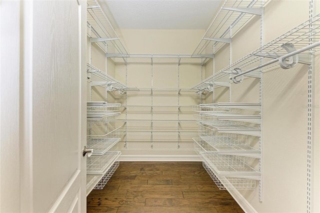 7278 Lismore Ct, Lakewood Ranch, FL 34202 - walk in closet with wood-type flooring