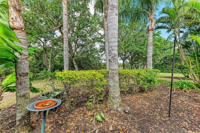7278 Lismore Ct, Lakewood Ranch, FL 34202 - view of yard