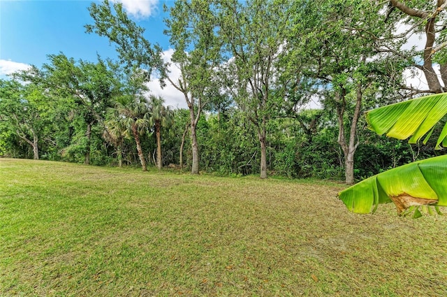 7278 Lismore Ct, Lakewood Ranch, FL 34202 - view of green lawn