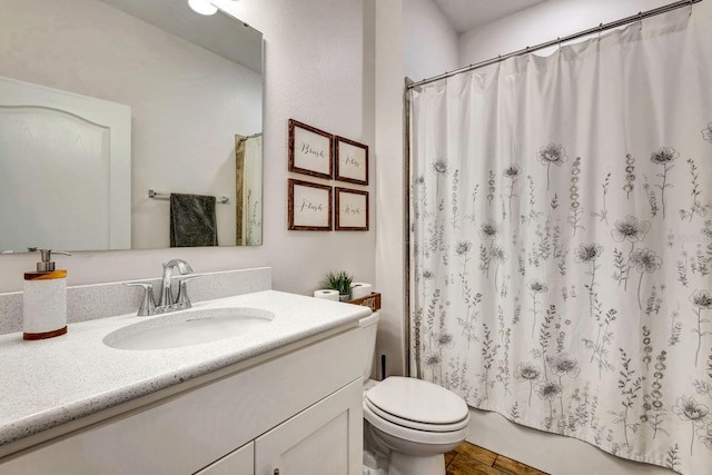 2707 162nd Ave E, Parrish, FL 34219 - full bathroom featuring vanity, toilet, wood finished floors, and shower / bath combo