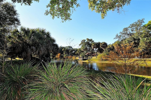 water view