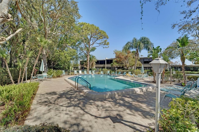 501 Lakeside Dr Unit 501, Bradenton, FL 34210 - pool with a patio area