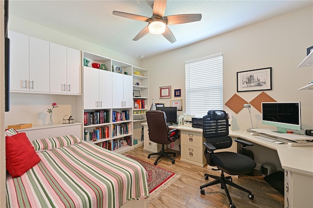 1017 Siberian Gln, Bradenton, FL 34212 - bedroom featuring a textured ceiling, a ceiling fan, and light wood finished floors