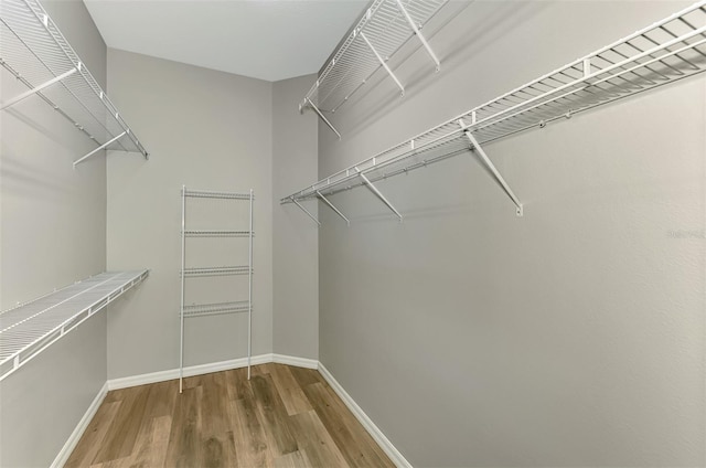 6310 Golden Eye Gln, Lakewood Ranch, FL 34202 - walk in closet with wood finished floors