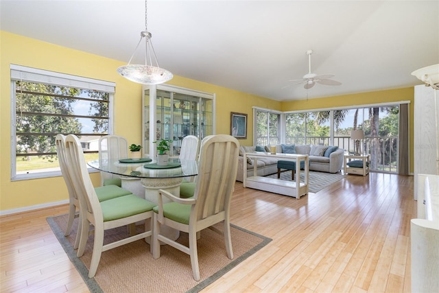 1041 Capri Isles Blvd Unit 232, Venice, FL 34292 - photo 4
