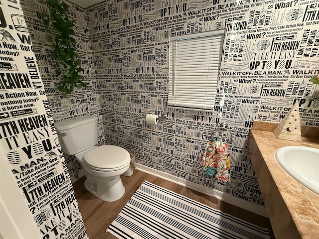 33 Tee View Pl, Rotonda West, FL 33947 - bathroom with wood finished floors, toilet, and vanity