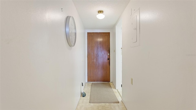 3763 Lake Bayshore Dr Unit 310, Bradenton, FL 34205 - corridor with baseboards and a textured ceiling