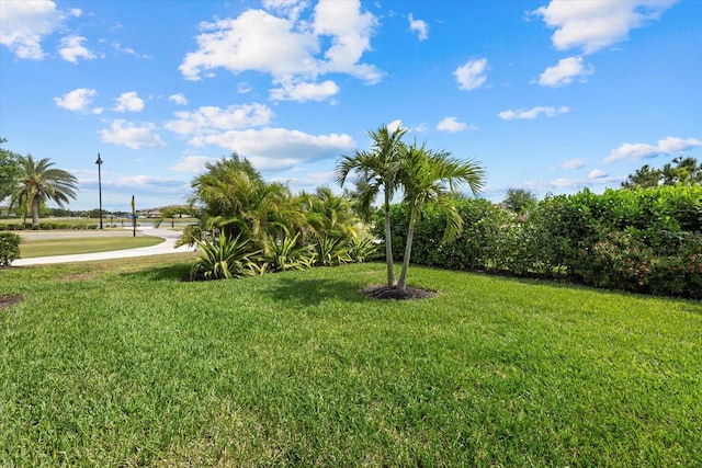 view of grassy yard