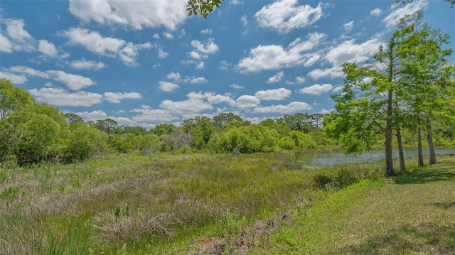 view of landscape featuring a view of trees and a water view