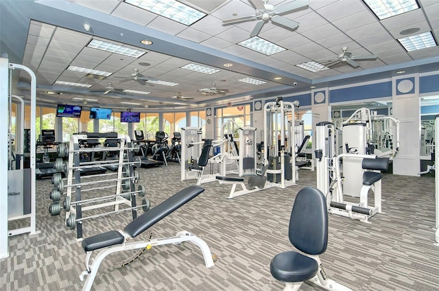 gym featuring carpet floors, a ceiling fan, and a paneled ceiling