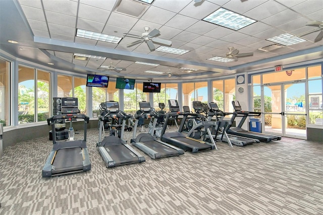 gym with a ceiling fan, a paneled ceiling, and carpet