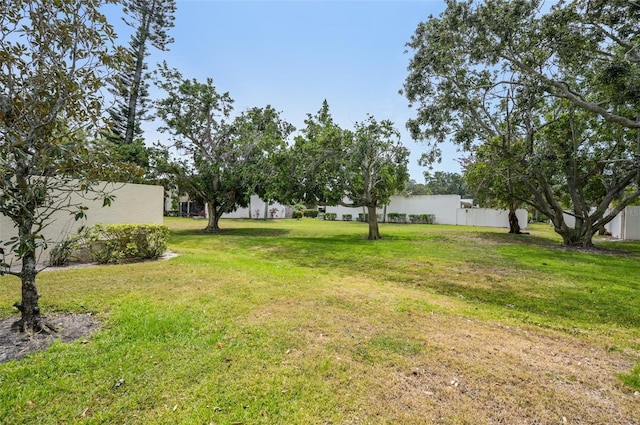 view of yard