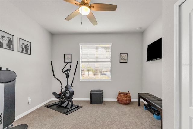 4406 Baltry Ct, Bradenton, FL 34211 - photo 4