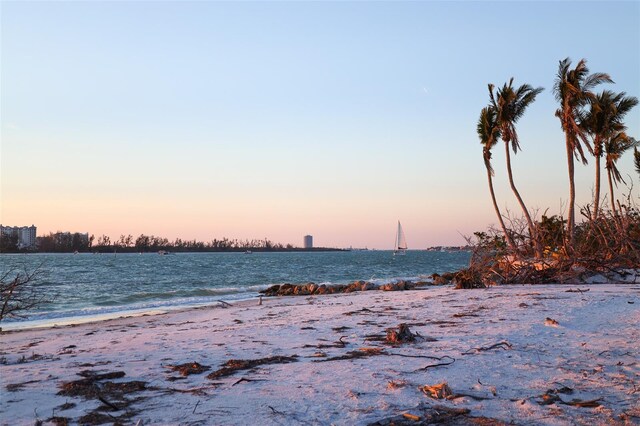 view of water feature featuring a view of the beach