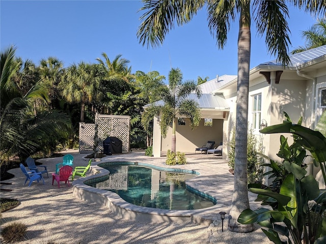 view of swimming pool featuring a patio