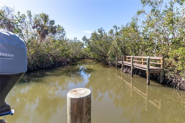 dock area with a water view