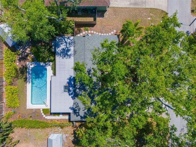 4806 Capri Ave, Sarasota, FL 34235 - photo 37
