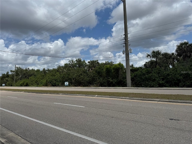 10200 Burnt Store Rd, Punta Gorda, FL 33950 - photo 3