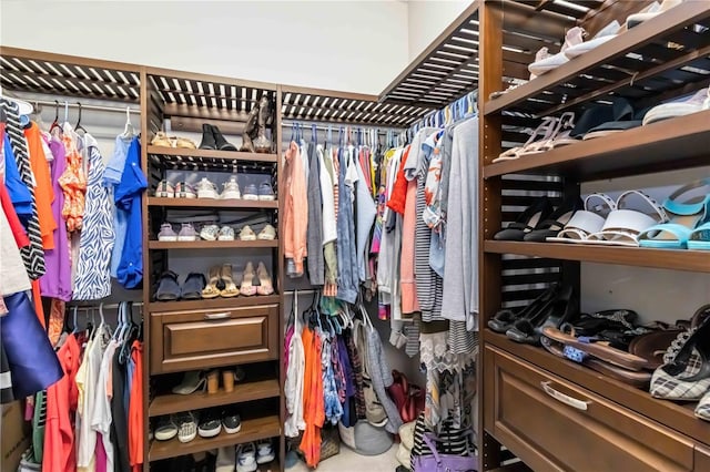 view of spacious closet