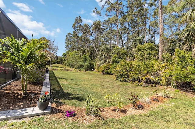 view of grassy yard