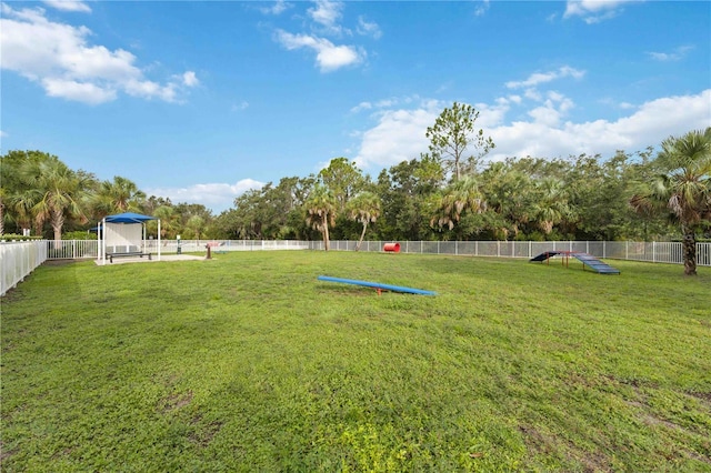 view of yard with a dog friendly area