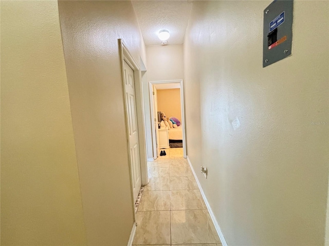 7114 Hamilton Park Blvd, Tampa, FL 33615 - photo 26