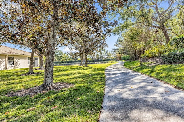 4136 Cascade Falls Dr, Sarasota, FL 34243 - view of community with a yard