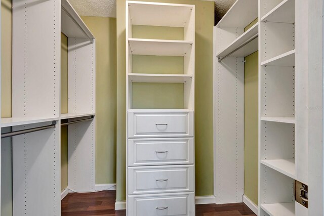 5209 26th Ave W, Bradenton, FL 34209 - spacious closet with dark wood-style floors