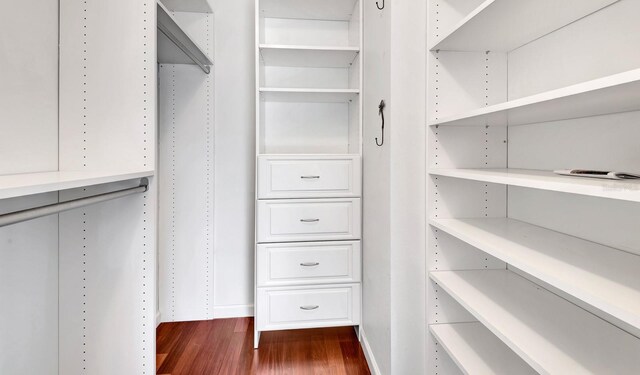 5209 26th Ave W, Bradenton, FL 34209 - spacious closet with dark wood-style floors