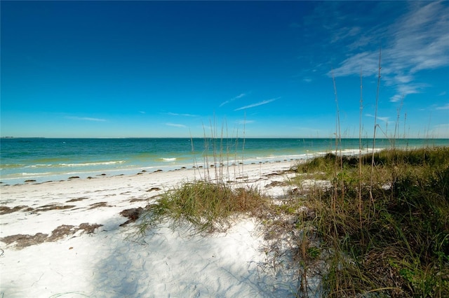 805 N Bay Blvd, Anna Maria, FL 34216 - photo 41