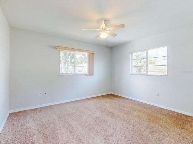 13729 SE 89th Ave, Summerfield, FL 34491 - photo 4