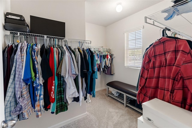 walk in closet featuring carpet floors