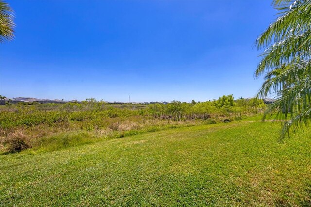 17675 Azul Dr, Lakewood Ranch, FL 34202 - view of yard