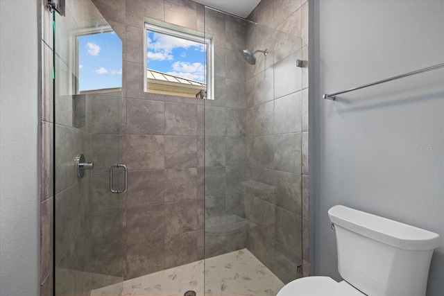 9241 Starry Night Ave, Sarasota, FL 34241 - full bathroom featuring a shower stall and toilet