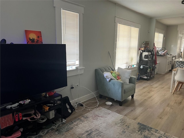 1002 E Ida St, Tampa, FL 33603 - living area featuring baseboards, light wood-style flooring, and plenty of natural light